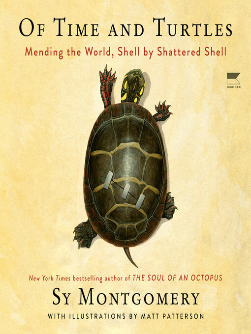 Title details for Of Time and Turtles by Sy Montgomery - Available